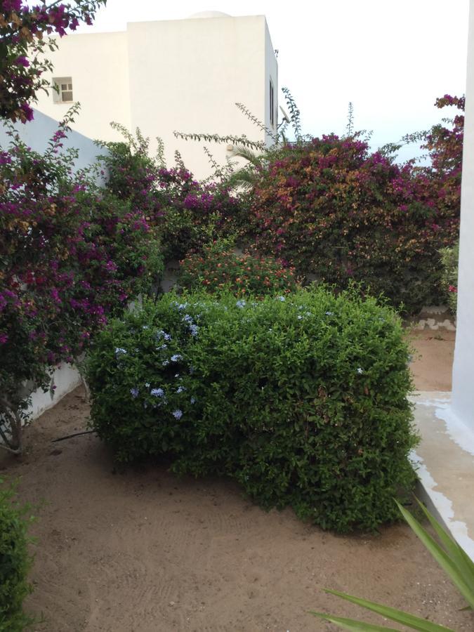 Midounia Bed & Breakfast Bagian luar foto